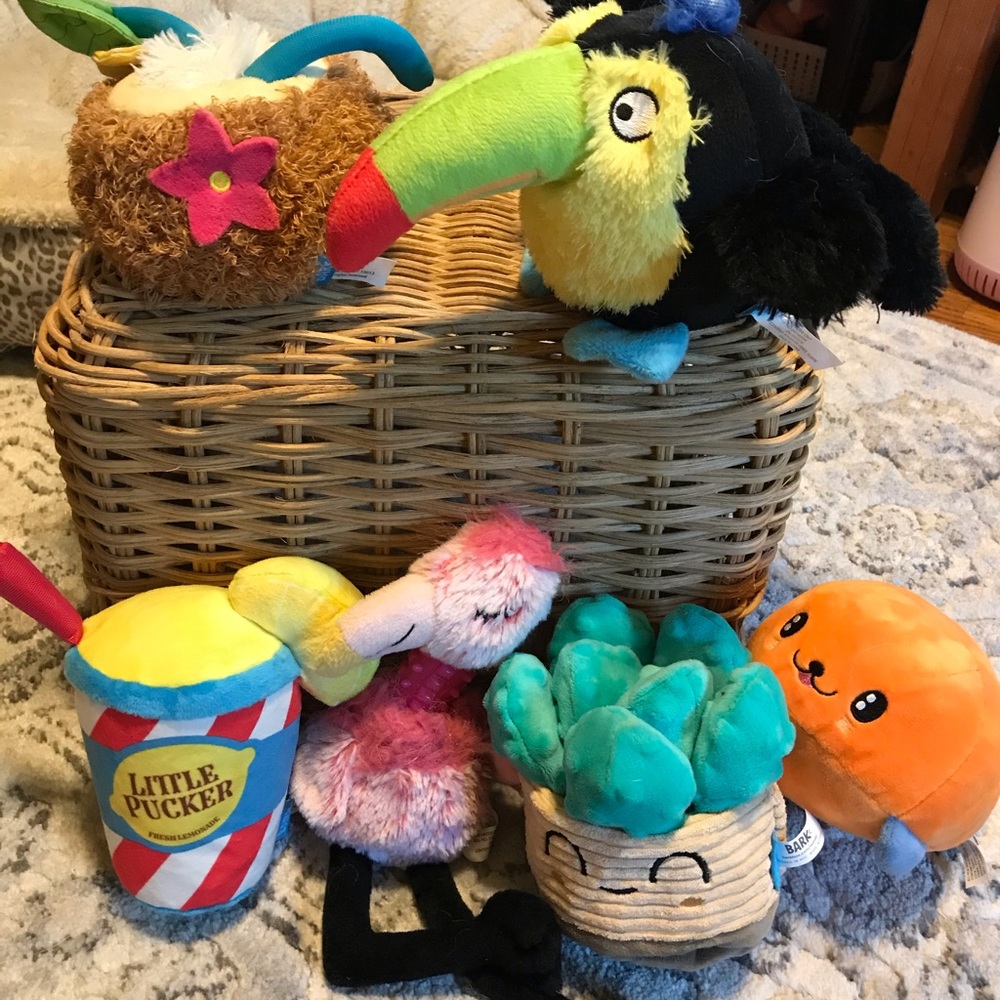 COPY - Bark Box Toys LOT
